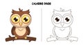 An Owl Standing On A Branch Coloring Page