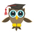 Owl student