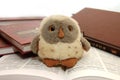 Owl a symbol of wisdom and knowledge Royalty Free Stock Photo