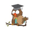 Owl Teacher Royalty Free Stock Photo