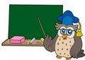Owl teacher with blackboard Royalty Free Stock Photo