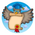 Owl teacher with diploma on sky Royalty Free Stock Photo