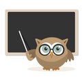 Owl teacher explaining at school