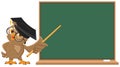 Owl teacher holding pointer at blackboard Royalty Free Stock Photo
