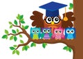 Owl teacher and owlets theme image 5 Royalty Free Stock Photo