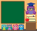 Owl teacher and owlets theme image 1 Royalty Free Stock Photo
