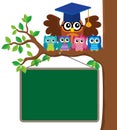 Owl teacher and owlets theme image 3 Royalty Free Stock Photo
