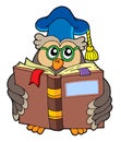 Owl teacher reading book Royalty Free Stock Photo