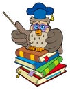 Owl teacher sitting on four books Royalty Free Stock Photo