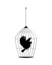 Flying dove silhouette in cage, vector Royalty Free Stock Photo