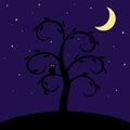 Owl on tree. Abstract starry night landscape. Royalty Free Stock Photo