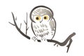 Owl sitting on a tree branch, in Japanese watercolor painting style