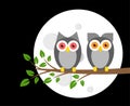 Two Owls on a Tree Branch at Night with Full Moon