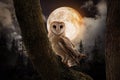 Owl on tree in misty forest under full moon at night