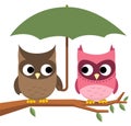 Owl umbrella