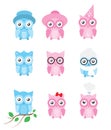 Owl Vector Collection / Set with separated cute cartoon owls illustrations, isolated on white background Royalty Free Stock Photo