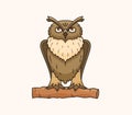 Owl vector drawing illustration Royalty Free Stock Photo