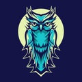Owl vector illustration design on night background Royalty Free Stock Photo