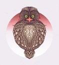 Owl - vector illustration. Icon design Royalty Free Stock Photo