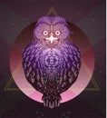 Owl - vector illustration. Icon design Royalty Free Stock Photo