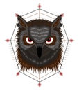Owl vector. Illustration of owl for t-shirt design printing Royalty Free Stock Photo
