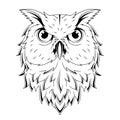 Owl. Vector illustration of a sketch bird. Nocturnal birds of prey with hawk-like beak isolated on white background