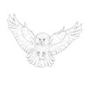 Owl Vector Sketch Illustration on White Background