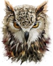 Owl watercolor painting Royalty Free Stock Photo