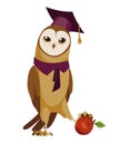 Owl wearing graduation cap. Cute wise owl with hat. Symbol of wisdom or graduation from higher or secondary educational Royalty Free Stock Photo