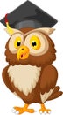 Owl wearing graduation cap