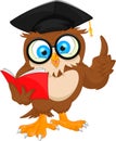 Owl wearing graduation cap and reading book