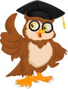 Owl wearing graduation cap and thumb up