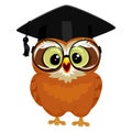 Owl wearing Graduation Cap