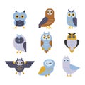 Owl wild bird cartoon vector. Royalty Free Stock Photo