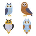 Owl wild bird cartoon vector. Royalty Free Stock Photo