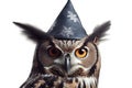 Owl With Witchs Hat On White Background. Halloween. Generative AI