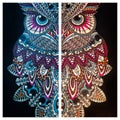 Owl wooden jigsaw puzzle collage Royalty Free Stock Photo