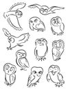 Owls