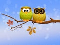 Owls couple on branch