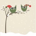 Owls couple in christmas hats on the tree branch Royalty Free Stock Photo