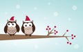 Owls couple in christmas hats on the tree branch. Royalty Free Stock Photo