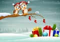 Owls couple in christmas hats on the tree branch Royalty Free Stock Photo