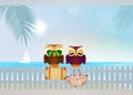 Owls couple on summer holidays