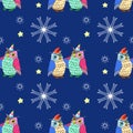 Owls on deep background,snow,stars Royalty Free Stock Photo