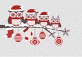 Owls family cartoon christmas design Royalty Free Stock Photo