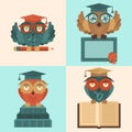 Owls in graduation caps set flat