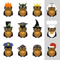 Owls with hat, helmet, cap, bandanna and crown Royalty Free Stock Photo