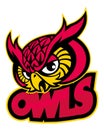Owls head mascot Royalty Free Stock Photo