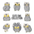 Owls illustration set. Collection with cute owls with various emotion in hand drawn cartoons style. Otus scops illustration set