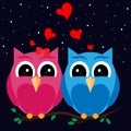 Owls in love on a night branch.